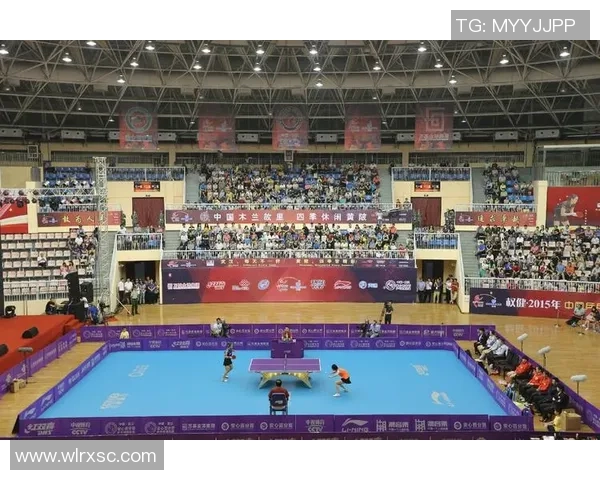 武汉乒乓球队实力分析与发展潜力探讨聚焦乒乓球运动的未来之路