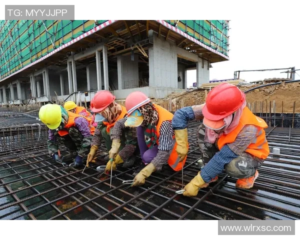 深圳篮球队成长之路：从默默无闻到璀璨辉煌的奋斗历程