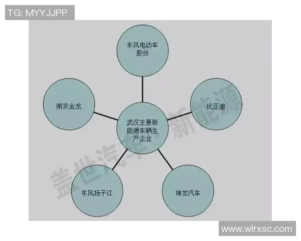 独家分析：杭州排球队的意识对比