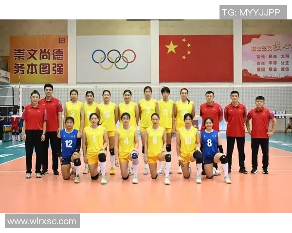 最新排球耐力TOP10：杭州排球队领跑